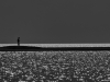 Camargue-lagune-ctre-jr_NB