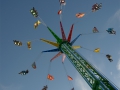 manege-etoile-Bges_2