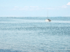bateau-noirmoutier-pr-impression-texturee