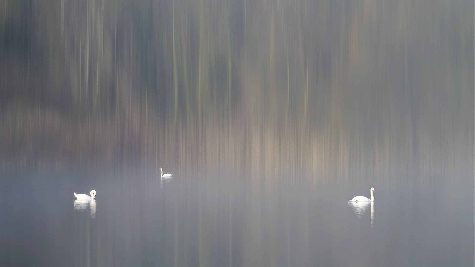 Matin dhiver